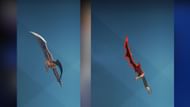 Kasaka's Venom Fang and Knight Killer is one of the best SR weapon combos in Solo Leveling Arise. (Image via Netmarble)